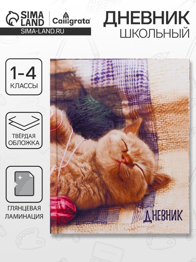 Дневник школьный для 1-4 классов, «Котёнок», твёрдая обложка 7БЦ, глянцевая ламинация, 48 листов