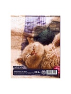 Дневник школьный для 1-4 классов, «Котёнок», твёрдая обложка 7БЦ, глянцевая ламинация, 48 листов - Фото 13