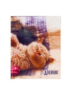 Дневник школьный для 1-4 классов, «Котёнок», твёрдая обложка 7БЦ, глянцевая ламинация, 48 листов - Фото 3