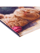 Дневник школьный для 1-4 классов, «Котёнок», твёрдая обложка 7БЦ, глянцевая ламинация, 48 листов - Фото 4