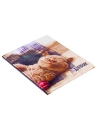 Дневник школьный для 1-4 классов, «Котёнок», твёрдая обложка 7БЦ, глянцевая ламинация, 48 листов - Фото 5