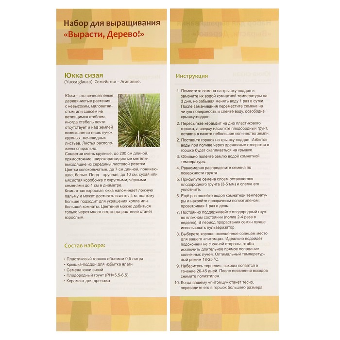 Набор вырасти дерево инструкция. Вырасти дерево кедр. Вырасти дерево мята. Вырасти дерево лаванда инс. Вырасти дерево инструкция.