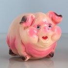 Копилка "Свинка", глянец, розовый цвет, 15 см - Фото 2