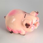 Копилка "Свинка", глянец, розовый цвет, 15 см - Фото 5