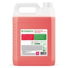 Средство для мытья посуды Synergetic, антибактериальный гель, биоразлагаемый, арбуз, 5 л - Фото 9