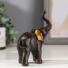 Фигурка полистоун «Слон африканский коричневый», золотые ушки, 12×4.3×9.5 см - Фото 4