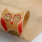 Бумага упаковочная крафт "Совы", 0.6 x 60 м - Фото 3