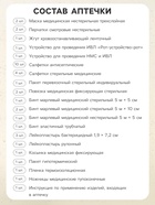 Аптечка для оказания первой помощи работникам «ФЭСТ», футляр №2, приказ 262н - Фото 2