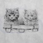 Чехол для одежды детский, 80×50 см, цвет серый - Фото 2