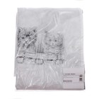 Чехол для одежды детский, 80×50 см, цвет серый - Фото 5