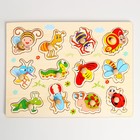 Рамка-вкладыш «Насекомые» - фото 35228614