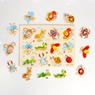 Рамка-вкладыш «Насекомые» - фото 35228615