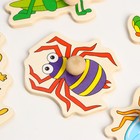 Рамка-вкладыш «Насекомые» - фото 35228616