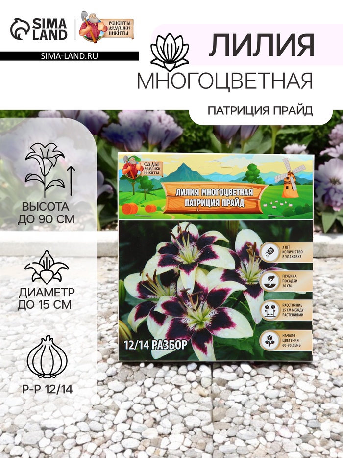 Лилия Многоцветная «Патриция Прайд», луковица в пакете с перфорацией, р-р 12/14, 3 шт. - Фото 1