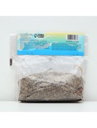 Лилия Многоцветная «Патриция Прайд», луковица в пакете с перфорацией, р-р 12/14, 3 шт. - Фото 6