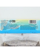 Лилия Азиатская «Перл Мелани», луковица в пакете с перфорацией, р-р 12/14, 3 шт. - Фото 7