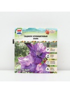 Гладиолус Крупноцветковый "Альфа", р-р 8/10, 7 шт, - Фото 6