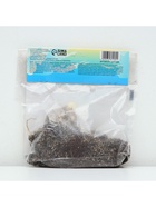 Лилия Многоцветная «Пиетон», луковица в пакете с перфорацией, р-р 12/14, 3 шт. - Фото 5