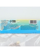 Лилия Многоцветная «Пиетон», луковица в пакете с перфорацией, р-р 12/14, 3 шт. - Фото 7