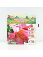 Лилия Трубчатая «Пинк Перфект», луковица в пакете с перфорацией, р-р 12/14, 3 шт. - Фото 6