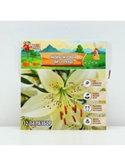 Лилия Тигровая «Свит Суренде», луковица в пакете с перфорацией, р-р 12/14, 3 шт. - Фото 6