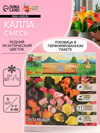 Калла «Смесь», клубнелуковица в пакете с перфорацией, р-р 10/12, 5 шт.
