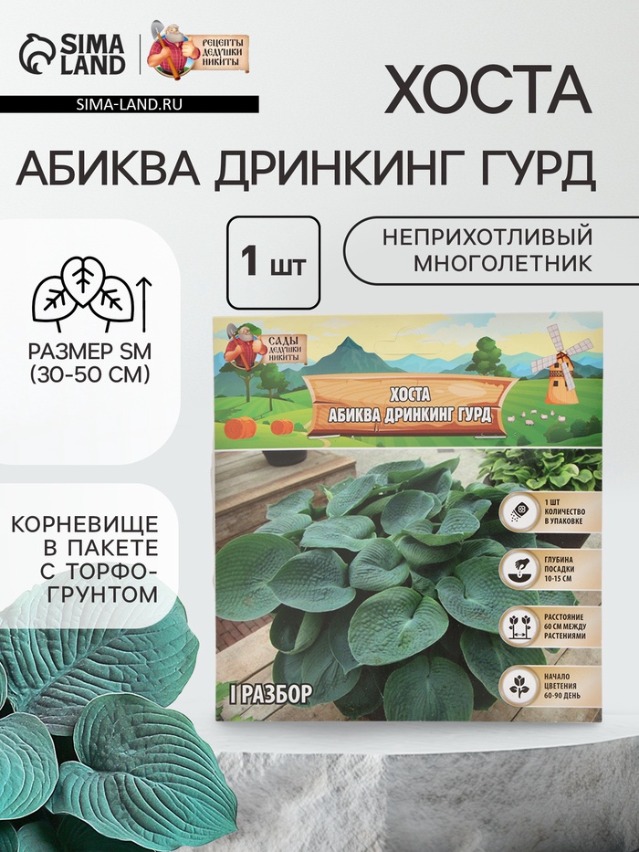 Хоста «Абиква Дринкинг Гурд», корневище в пакете с торфогрунтом, р-р I, 1 шт. - Фото 1