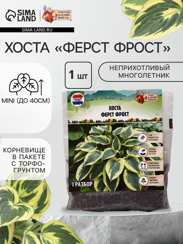 Хоста «Ферст Фрост», корневище в пакете с торфогрунтом, р-р I, 1 шт. - Фото 1