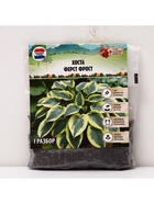 Хоста «Ферст Фрост», корневище в пакете с торфогрунтом, р-р I, 1 шт. - Фото 6