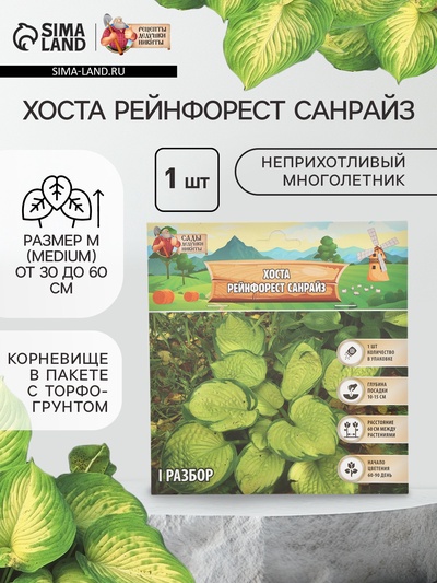 Хоста «Рейнфорест Санрайз», корневище в пакете с торфогрунтом, р-р I, 1 шт.