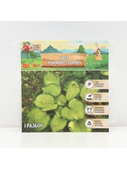 Хоста «Рейнфорест Санрайз», корневище в пакете с торфогрунтом, р-р I, 1 шт. - Фото 7