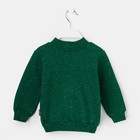 Джемпер (Толстовка) для мальчика, рост 86 см, цвет зелёный G17-0606_М - Фото 3