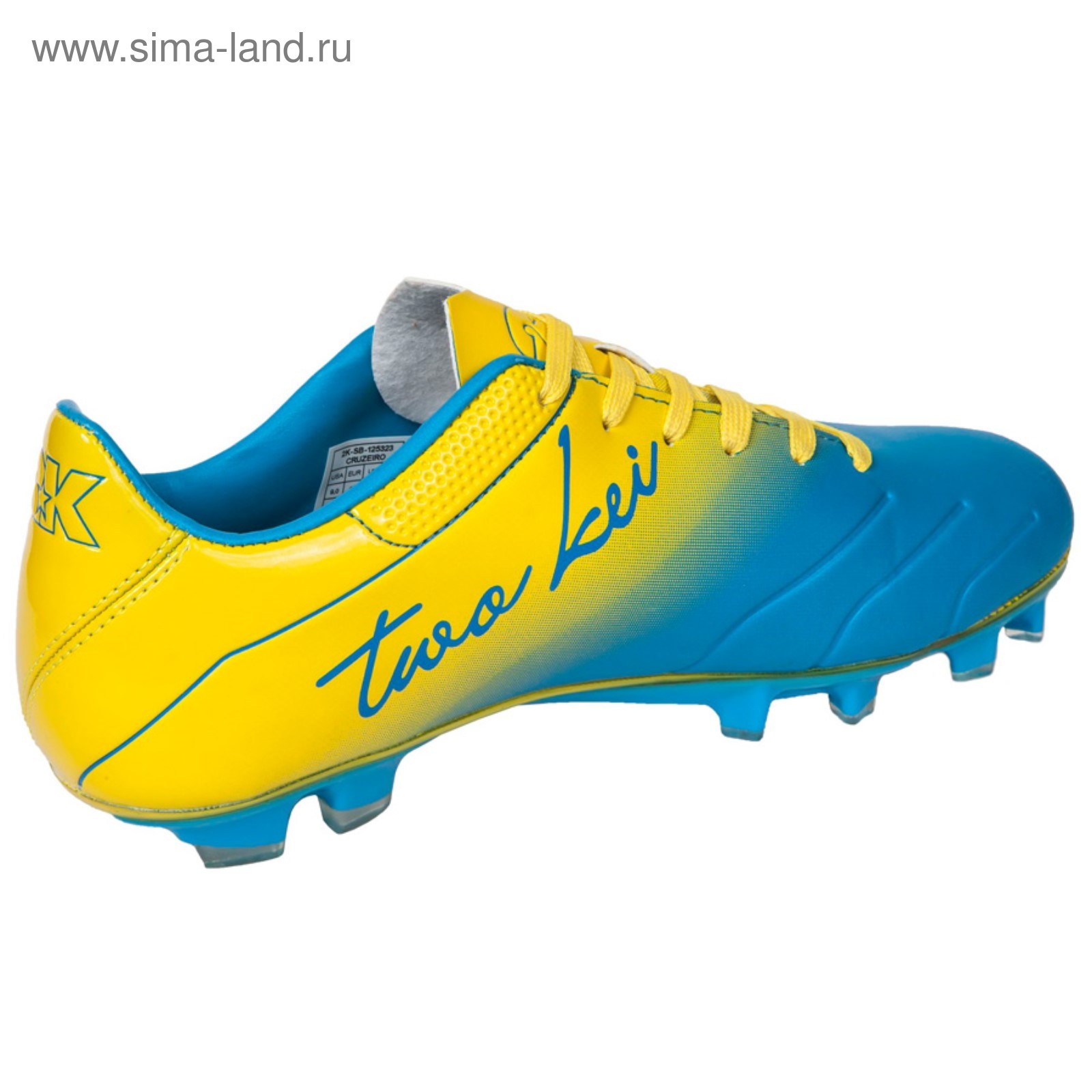 Укажите спортивную обувь футболиста. Бутсы 2k Sport. Бутсы GSD. Dolphin Sport бутсы. Бутсы футбольные GSD.