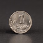 Альбом коллекционных монет "1 и 5 копеек 1997-2014" - Фото 33