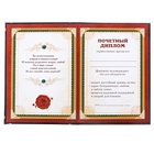 Диплом «Лучший папа», А5, 21×15 см - Фото 3