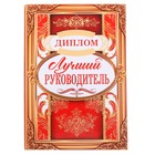 Диплом "Лучший руководитель", 15,2 х 21,5 см - Фото 1