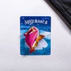 Значок «Мурманск. Морж» - Фото 3