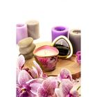 Свеча - аромамасло для массажа Shunga «Роза», 170 мл - Фото 9