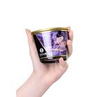 Свеча - аромамасло для массажа Shunga «Экзотические фрукты», 170 мл - Фото 5