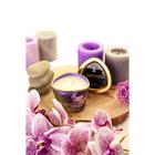 Свеча - аромамасло для массажа Shunga «Экзотические фрукты», 170 мл - Фото 9