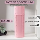 Футляр для зубной щётки и пасты, 19 см, цвет МИКС - Фото 1