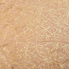Палантин Этель "Золотая абстракция", размер 70 х 180 см, цвет бежевый/золото - Фото 4
