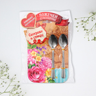 Ложки с гравировкой, набор «Свекрови и свекру», 15.5×25.5 см, 2 шт. - Фото 6