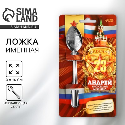 Ложка чайная именная «Андрей», 3×14 см