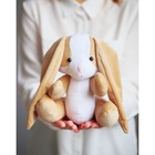 Мягкая игрушка «Плюшевый зайка Боня», набор для шитья, 15.6×22.4×5.2 см - Фото 5