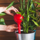 Автополив для комнатных цветов, 380 мл, h=16 см, пластик, МИКС - Фото 10