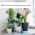 Автополив для комнатных цветов, 380 мл, h=16 см, пластик, МИКС - Фото 2