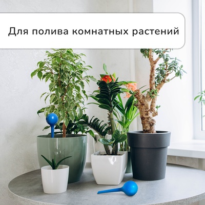 Автополив для комнатных цветов, 380 мл, МИКС, из пластика, высота 16 см