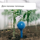 Автополив для комнатных цветов, 380 мл, h=16 см, пластик, МИКС - Фото 3