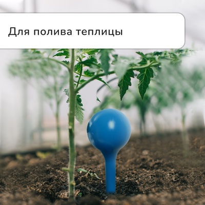 Автополив для комнатных цветов, 380 мл, МИКС, из пластика, высота 16 см